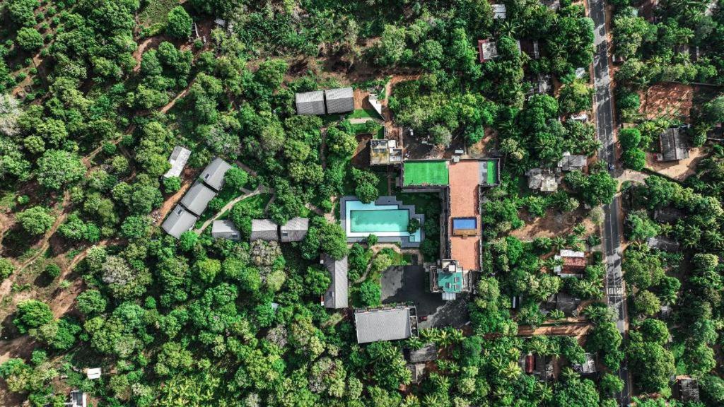 Covanro Sigiriya - Brand New Luxury Hotel Εξωτερικό φωτογραφία